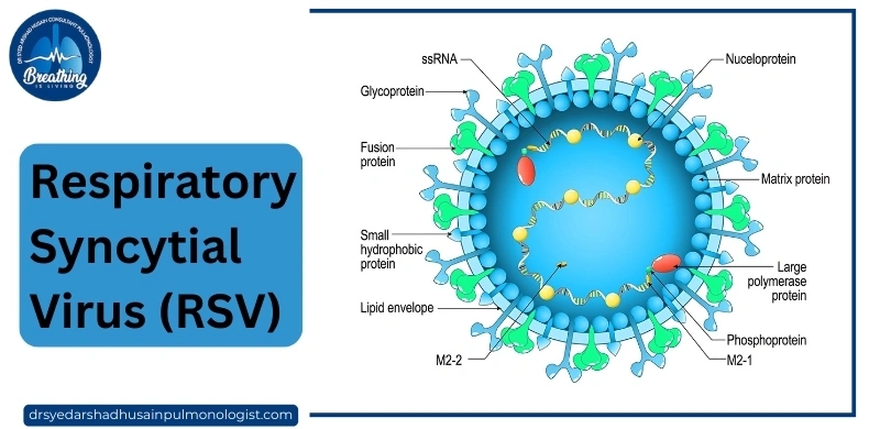 RSV in the 60+ Population: Symptoms, Risks, and Precautions